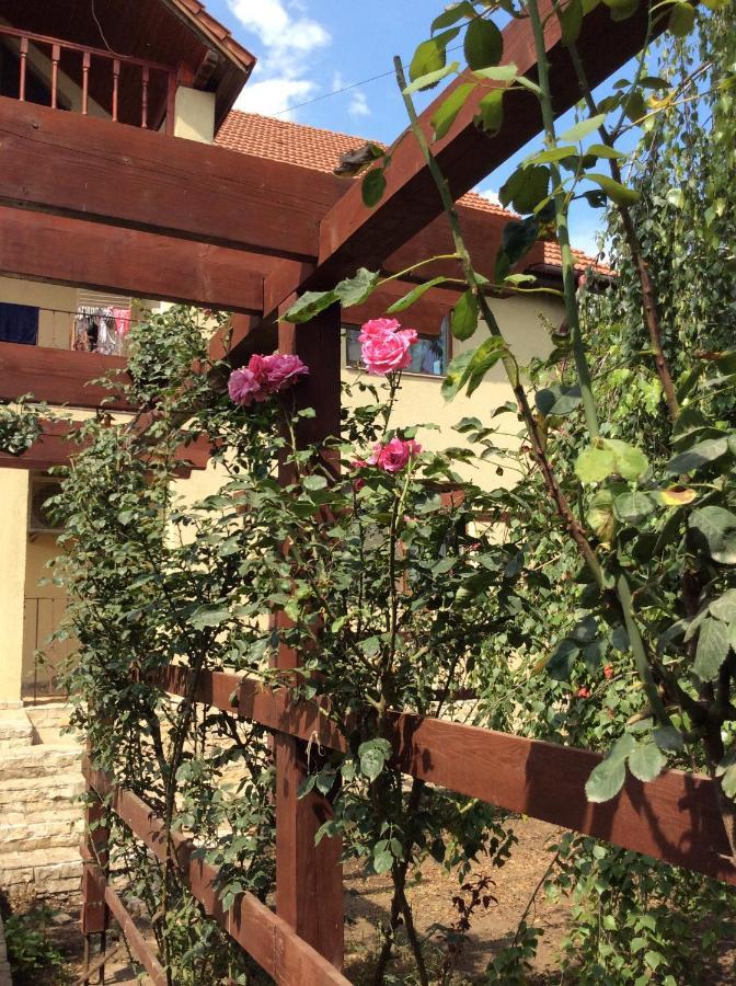Villa Rosa Нэводари Экстерьер фото